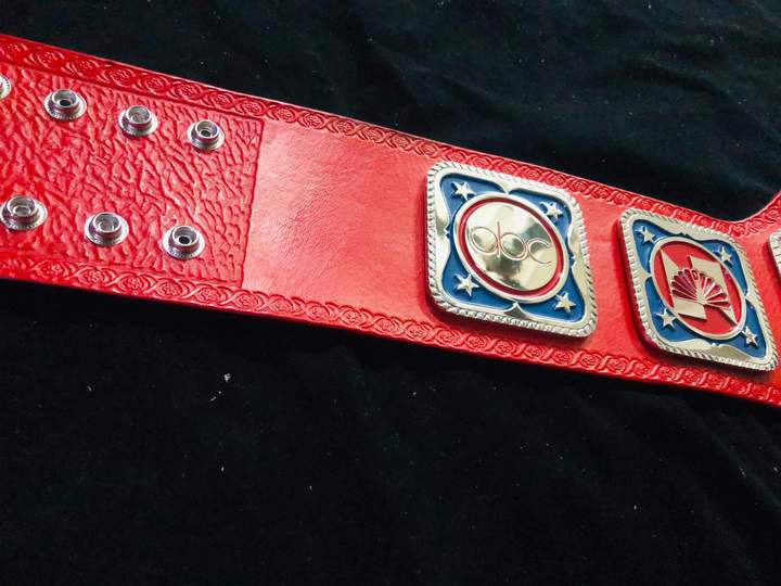 NWA Television Heavyweight Championship Title Belt Red Black Brass Zinc